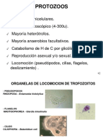 Seminario 6 PARTE 2. Protozoos Intestinales y de Cavidades