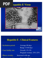 Epatite E