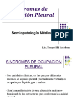 Sindromes de Ocupacion Pleural