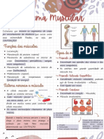 Aula 5 - Sistema Muscular