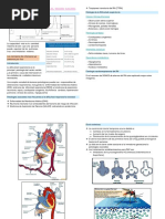 Dificultad Respiratoria en El RN