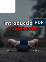 Introduction To Calisthenics AzGy0NkeQqs5a8lq