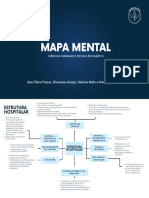 Mapa Mental - Chss IV