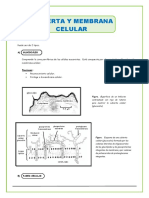 Cubierta y Membrana Celular 