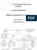 Mapas Concept Anemia