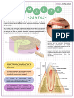 Tema 11 Esmalte Dental