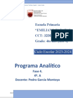 Prototipo Programa Analítico Zona 142 Junio