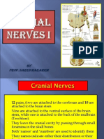 9 - 10 - Cranial Nerves 1