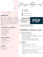 Curriculum Vitae CV Profesional Con Foto Azul y Blanco