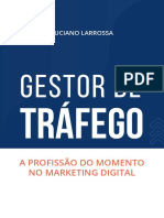 Ebook Gestor de Trafego Luciano Larrossa Dnmzas