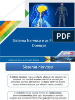 Aula 5 - Sistema Nervoso e As Principais Doenças