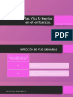 Infección de Las Vías Urinarias en El Embarazo.: Ginecología y Obstetricia