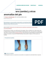 Pie Equinovaro (Zambo) y Otras Anomalías Del Pie - Pediatría - Manual MSD Versión para Profesionales