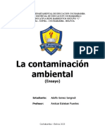 Contaminacion Ambiental