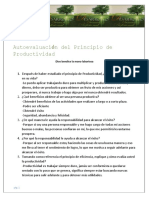 Autoevaluación Del Principio de Productividad