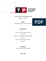 S09 - Analisis Pbi - Escurra A - Minaya M - Quezada V