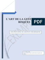 Gestion Des Risques