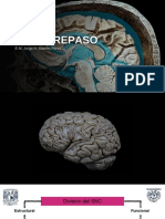 Neurorepaso JM