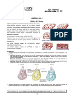 Anatomía-Histologia I