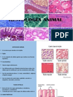 Histología Animal - 3