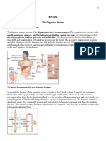 Lecture 11 Notes 2023 Digestive System - 911484673