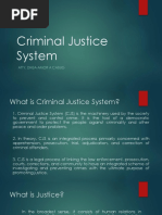 Criminal Justice System