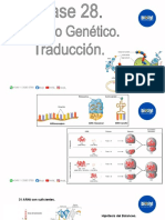 Clase 28. Código Genético. Traducción.