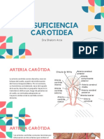 Insuficiencia Carotidea