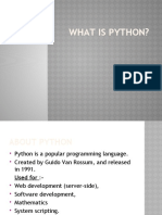 What Is Python