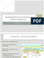 Cadena Respiratoria Original