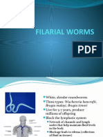 Filarial Worms