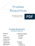 Pruebas Bioquímicas de Rutina