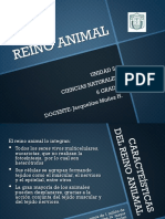 Clase 10 - Reino Animal