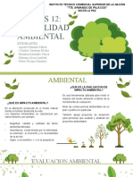 Tema 12 Factibilidad Ambiental