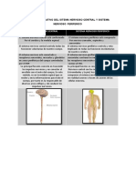 Cuadro Comparativo Sistema Nervioso Central y Periferico 2