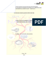 NA VEIA Da Saudade A Realidade - Atualizado