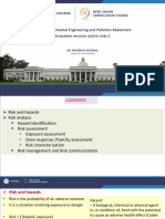 4 - Ecosystem Services and Risk 2