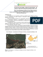 Caracterização Do Mangue de Pedra, Armação Dos Búzios - RJ para o Monitoramento Através de Imagens Obtidas Por Vant