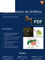 Slide Especialidade de Anfíbios 2023