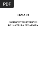 Tema 10 Componentes Internos de La Célula Eucariota