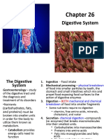 CH 26 Student Digestive