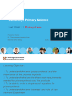 Cambridge Primary Science Photosynthesis