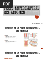 Pared Anterolateral Del Abdomen, Epiplon, Mesenterio, Retroperitoneo, Anatomia Region Inguinal