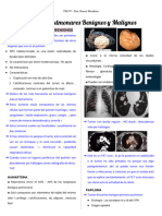 Tumores Pulmonares Benignos y Malignos