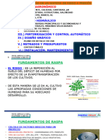 Ing. de Riego - Fundamentos de Raspa