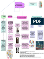 Plasticidad Cerebral