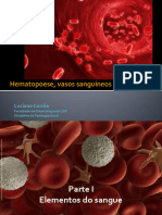  Hematopoese