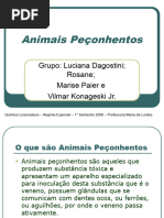 PDF Documento