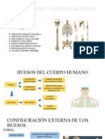 Anatomía Sesión 1