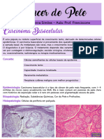 Câncer de Pele Resumo